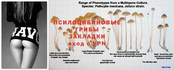 MDMA Premium VHQ Балабаново