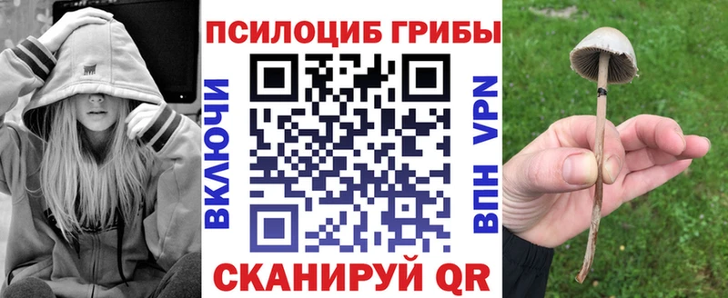 Псилоцибиновые грибы Psilocybine cubensis  blacksprut ссылка  Туран 